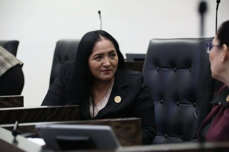 proyectos turísticos para San Fernando