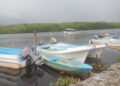 Conapesca levanta vedas para lisa, liseta y camarón en Laguna Madre Tamaulipas
