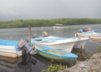 Conapesca levanta vedas para lisa, liseta y camarón en Laguna Madre Tamaulipas