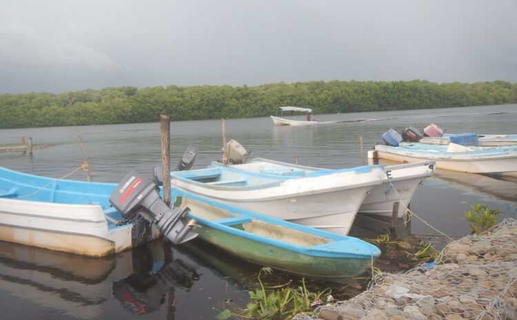 Conapesca levanta vedas para lisa, liseta y camarón en Laguna Madre Tamaulipas