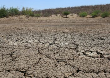 sequía en municipios fronterizos del norte de Tamaulipas