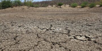 sequía en municipios fronterizos del norte de Tamaulipas
