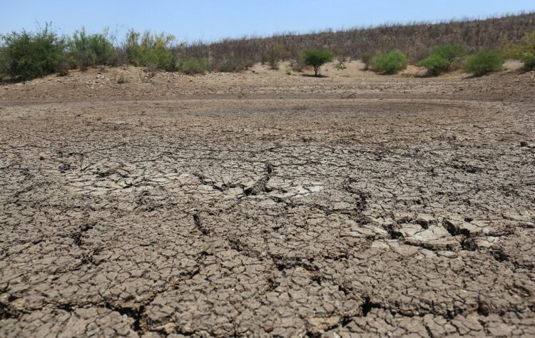 sequía en municipios fronterizos del norte de Tamaulipas