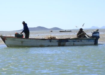 pescadores tamaulipas