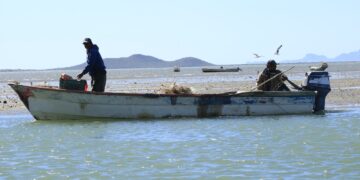pescadores tamaulipas