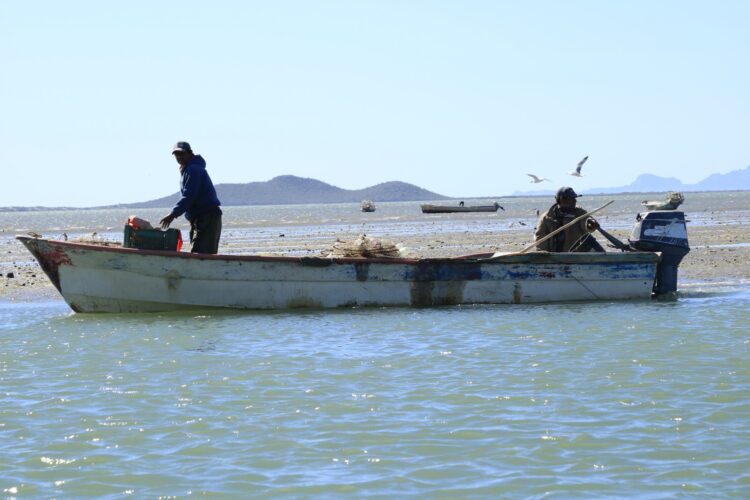 pescadores tamaulipas