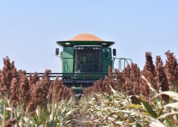 agricultores de Tamaulipas