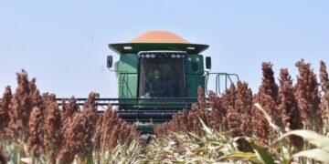 agricultores de Tamaulipas