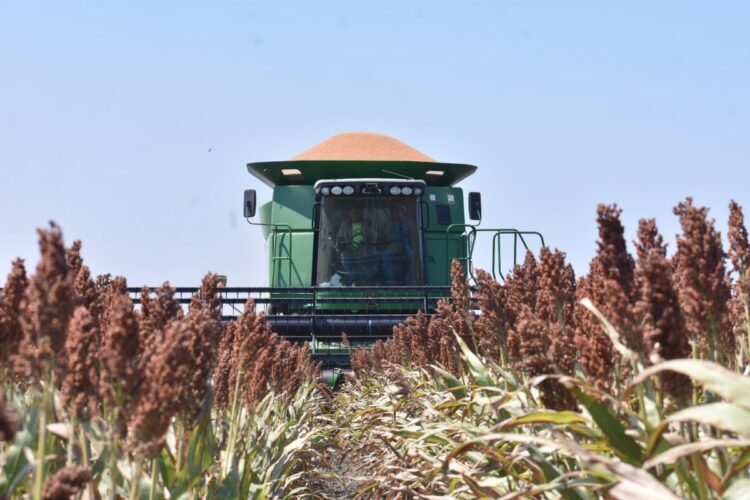 agricultores de Tamaulipas
