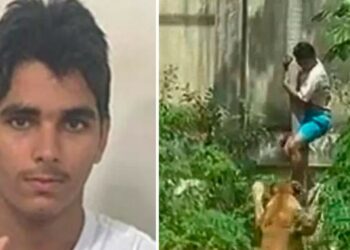 Joven Brasileño atacado por una leona