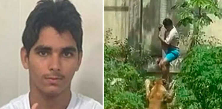 Joven Brasileño atacado por una leona