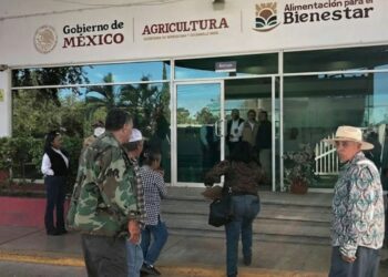 Productores de Tamaulipas exigen a Segalmex la compra de 1,500 toneladas de frijol negro