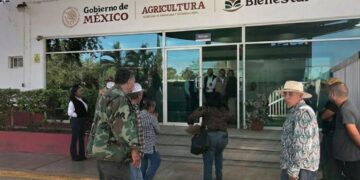 Productores de Tamaulipas exigen a Segalmex la compra de 1,500 toneladas de frijol negro