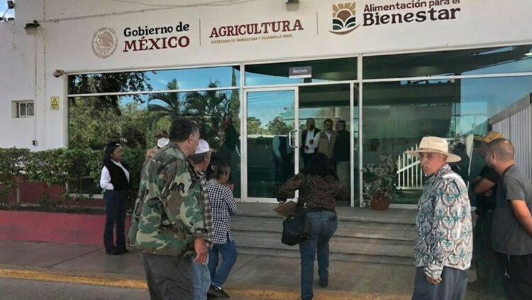Productores de Tamaulipas exigen a Segalmex la compra de 1,500 toneladas de frijol negro