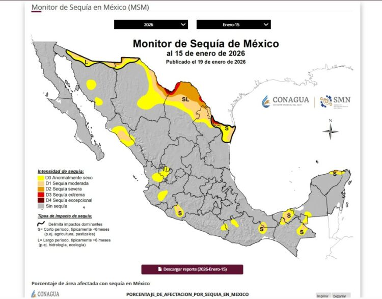 La sequía en el norte de Tamaulipas compromete la producción de los distritos de riego 025 y 026