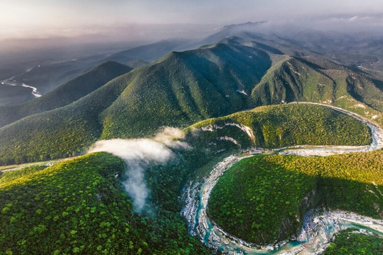 Proponen reforma a la Ley de Desarrollo Forestal de Tamaulipas para combatir la exclusión social.
