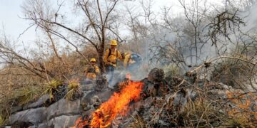 Tamaulipas registra los primeros incendios forestales de 2026 en el Altiplano.