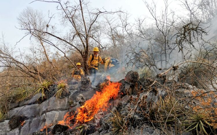 Tamaulipas registra los primeros incendios forestales de 2026 en el Altiplano.