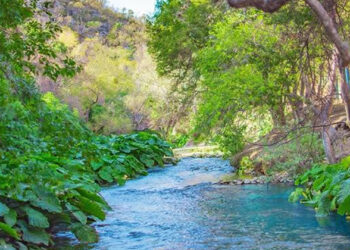 Sin operativos en la cuenca del río Guayalejo, denuncia alcalde