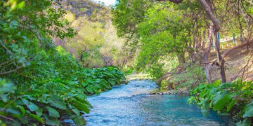 Sin operativos en la cuenca del río Guayalejo, denuncia alcalde