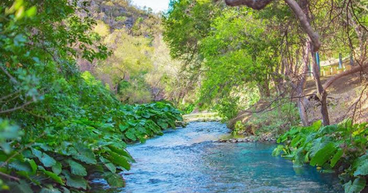 Sin operativos en la cuenca del río Guayalejo, denuncia alcalde